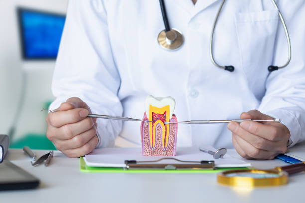 Best Emergency Dentist for Knocked-Out Tooth in Detroit Beach, MI